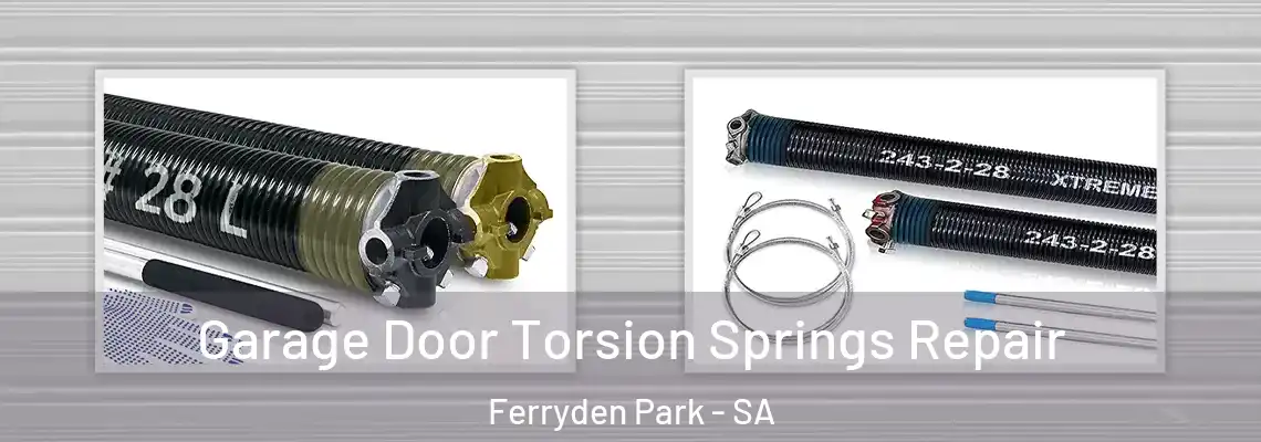 Garage Door Torsion Springs Repair Ferryden Park - SA