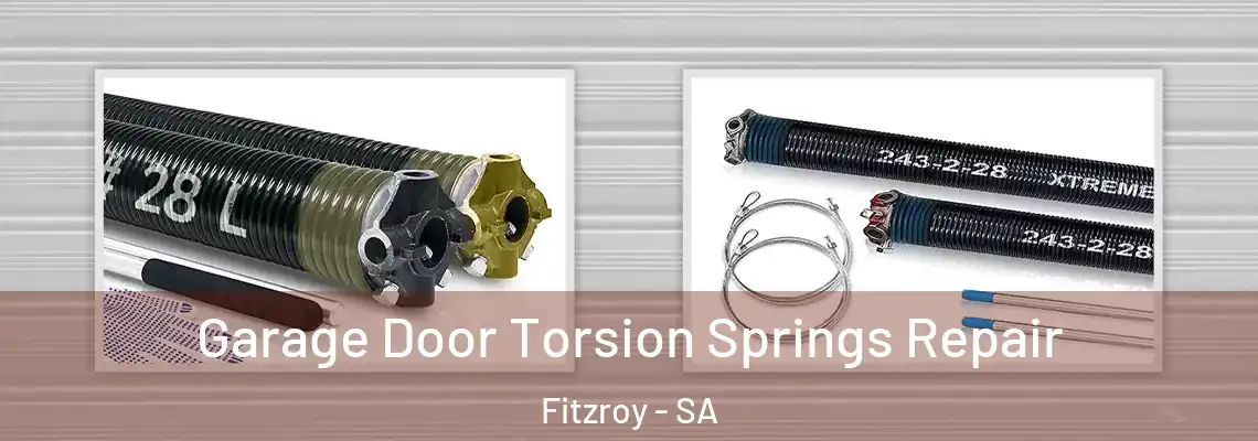 Garage Door Torsion Springs Repair Fitzroy - SA