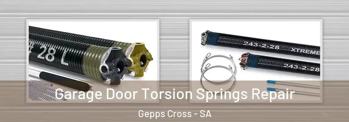 Garage Door Torsion Springs Repair Gepps Cross - SA