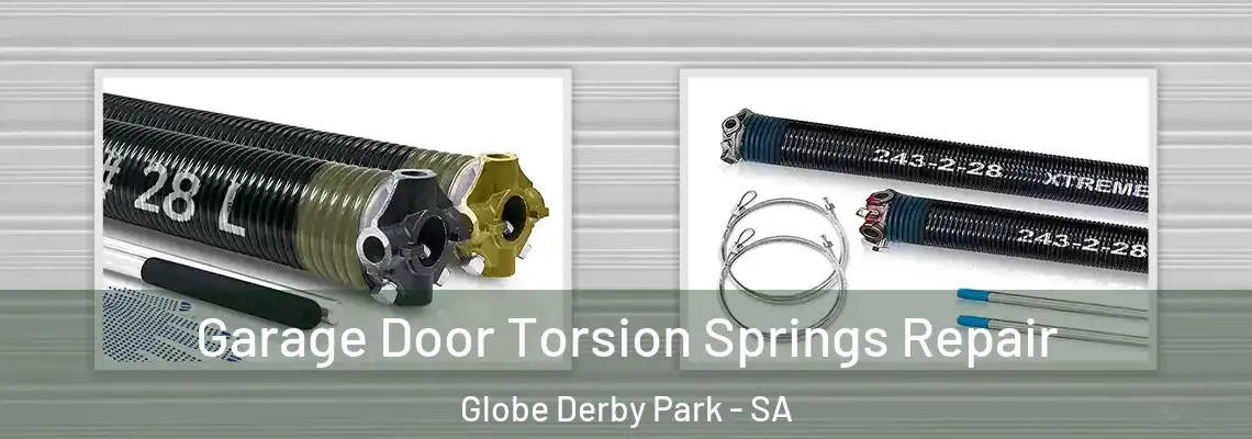 Garage Door Torsion Springs Repair Globe Derby Park - SA
