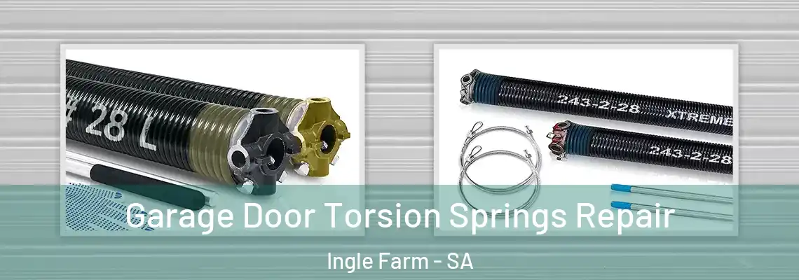Garage Door Torsion Springs Repair Ingle Farm - SA