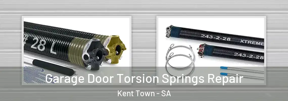 Garage Door Torsion Springs Repair Kent Town - SA