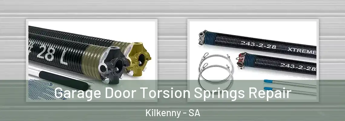  Garage Door Torsion Springs Repair Kilkenny - SA