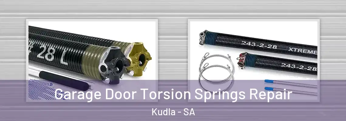  Garage Door Torsion Springs Repair Kudla - SA