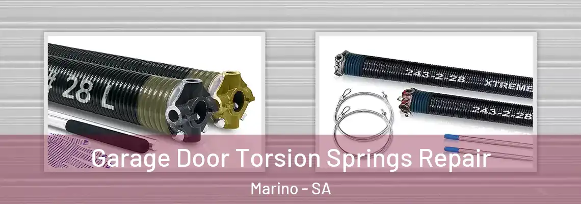 Garage Door Torsion Springs Repair Marino - SA