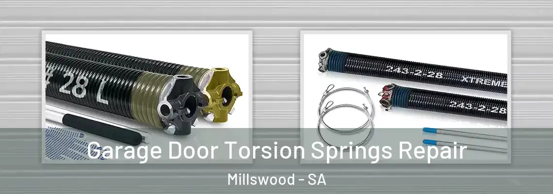 Garage Door Torsion Springs Repair Millswood - SA
