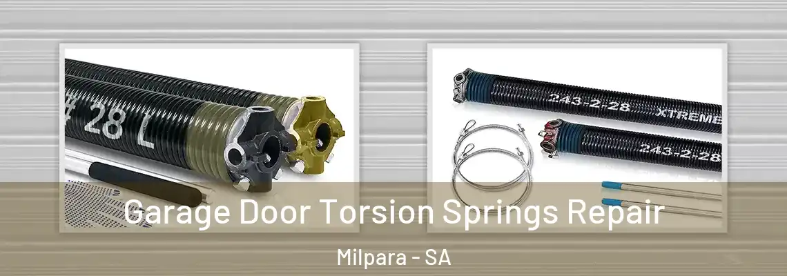  Garage Door Torsion Springs Repair Milpara - SA