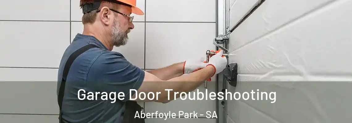 Garage Door Troubleshooting Aberfoyle Park - SA