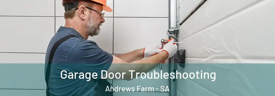 Garage Door Troubleshooting Andrews Farm - SA