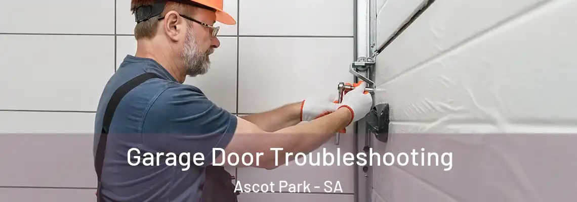  Garage Door Troubleshooting Ascot Park - SA