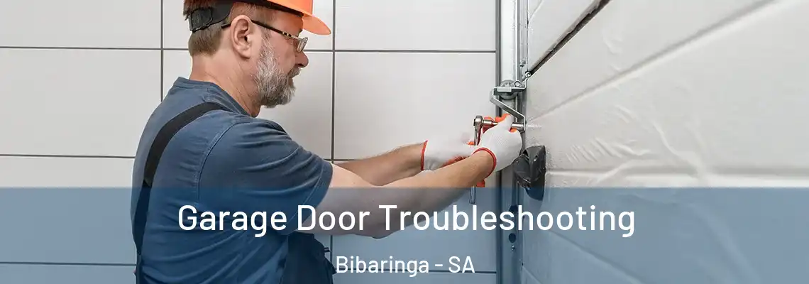 Garage Door Troubleshooting Bibaringa - SA