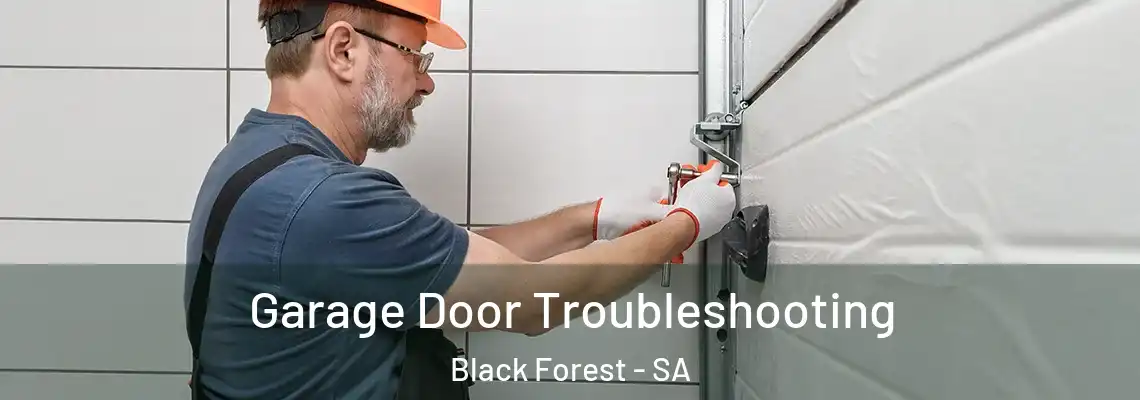 Garage Door Troubleshooting Black Forest - SA