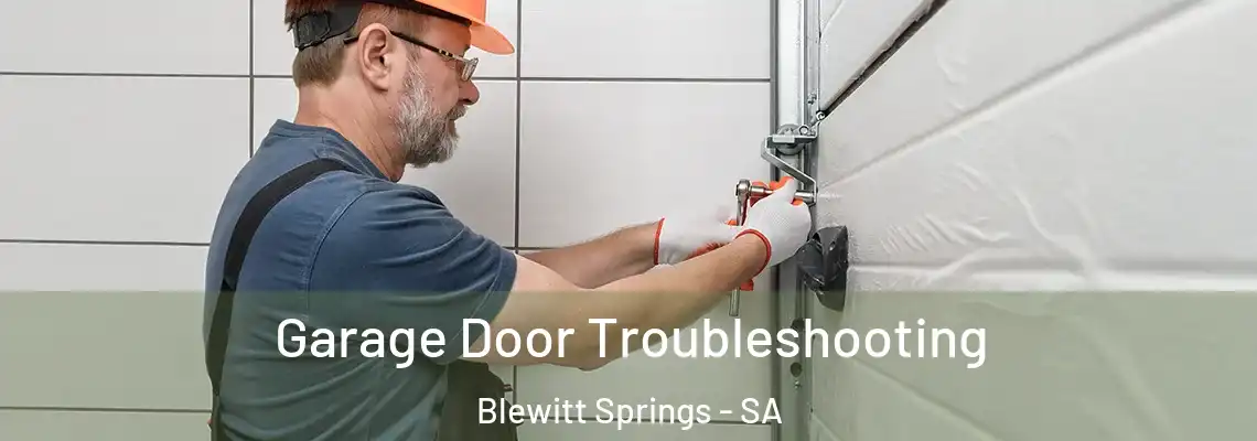 Garage Door Troubleshooting Blewitt Springs - SA
