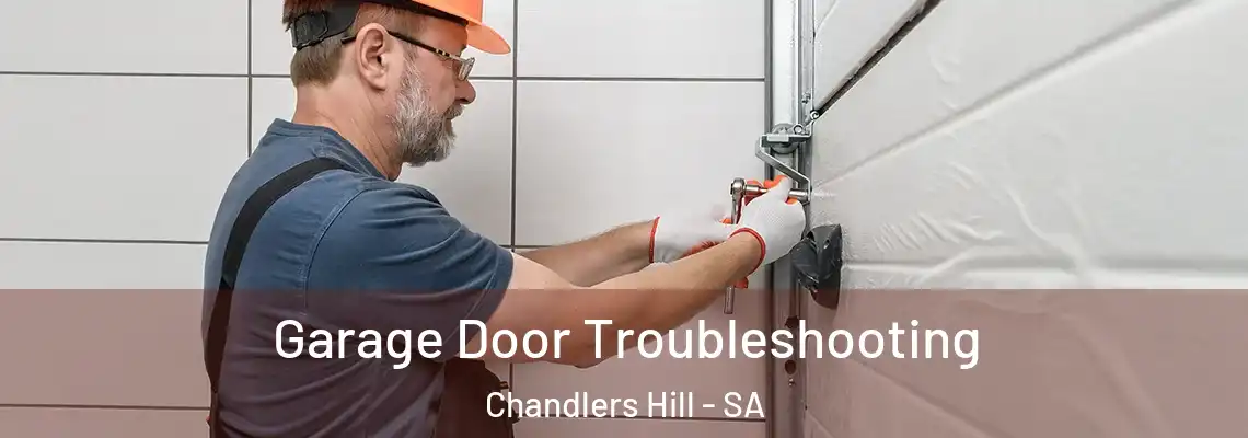 Garage Door Troubleshooting Chandlers Hill - SA