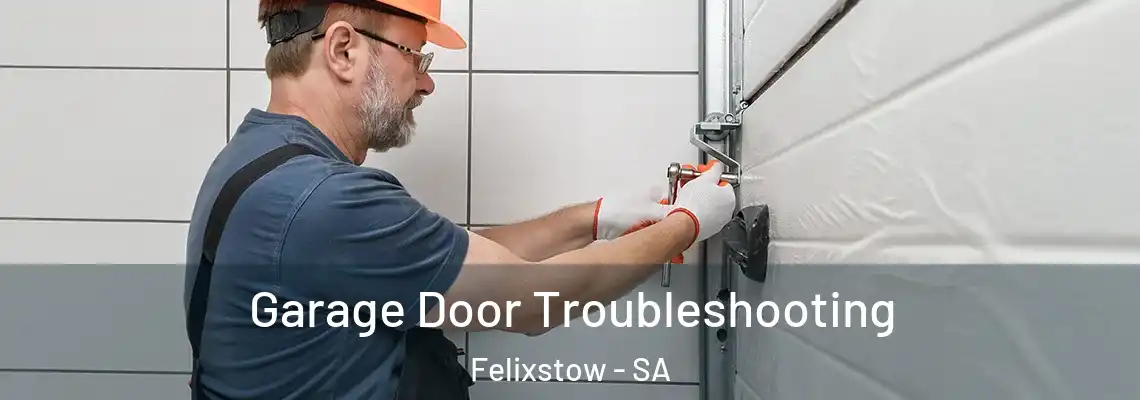 Garage Door Troubleshooting Felixstow - SA