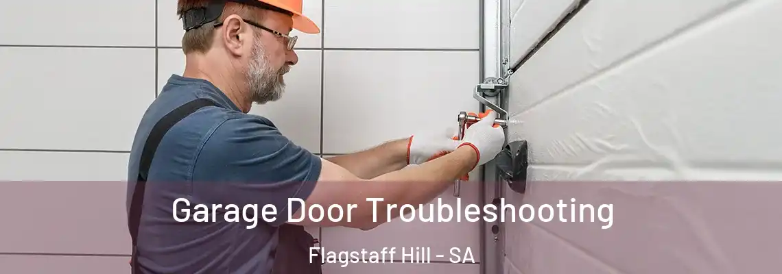Garage Door Troubleshooting Flagstaff Hill - SA
