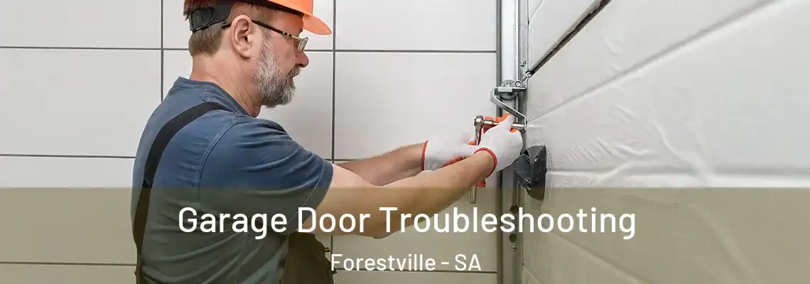 Garage Door Troubleshooting Forestville - SA