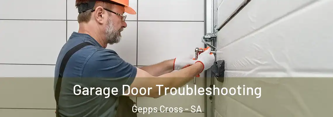 Garage Door Troubleshooting Gepps Cross - SA