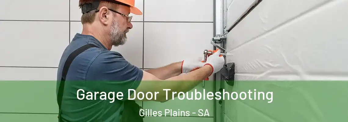  Garage Door Troubleshooting Gilles Plains - SA