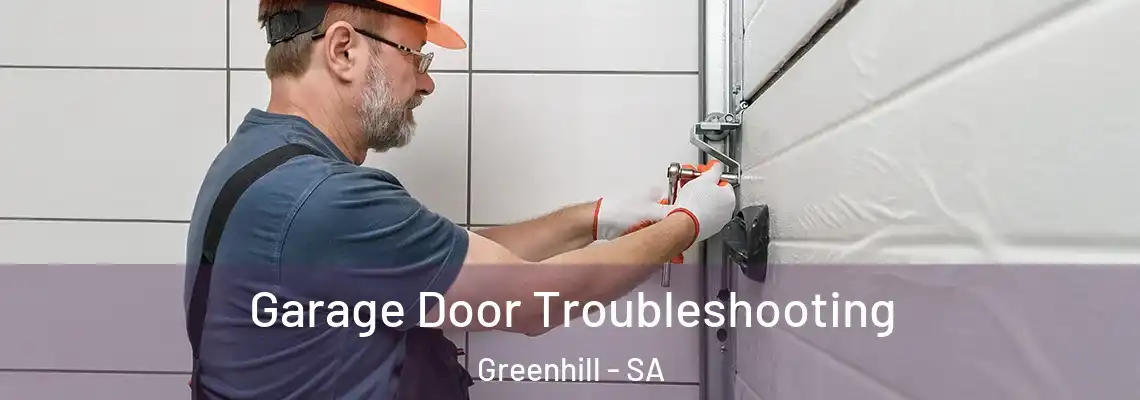 Garage Door Troubleshooting Greenhill - SA