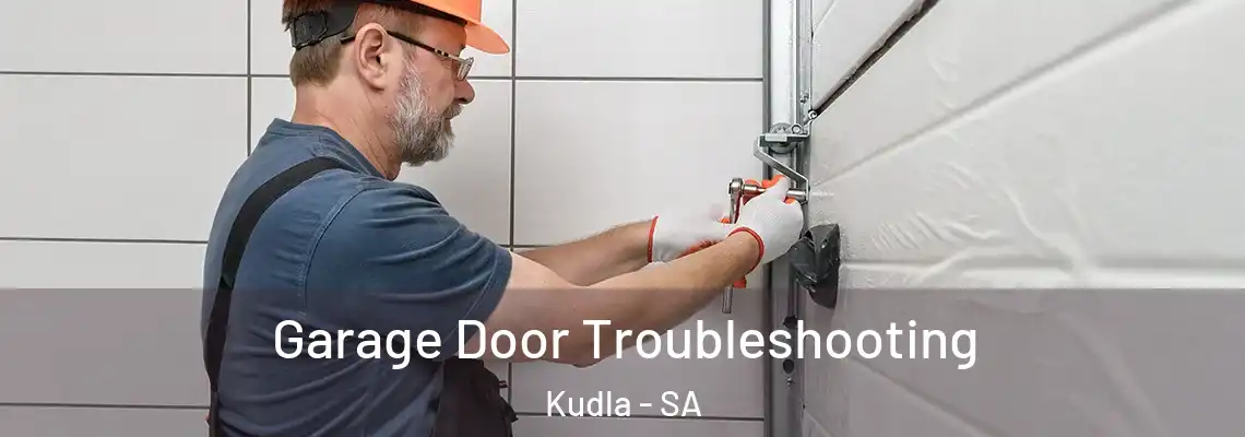 Garage Door Troubleshooting Kudla - SA