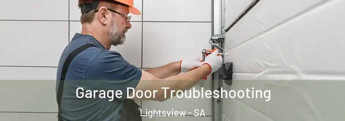 Garage Door Troubleshooting Lightsview - SA