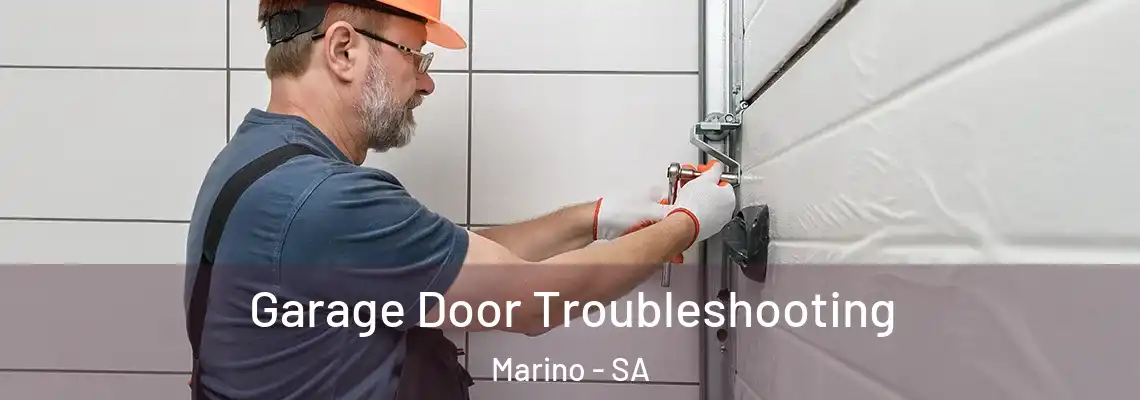Garage Door Troubleshooting Marino - SA