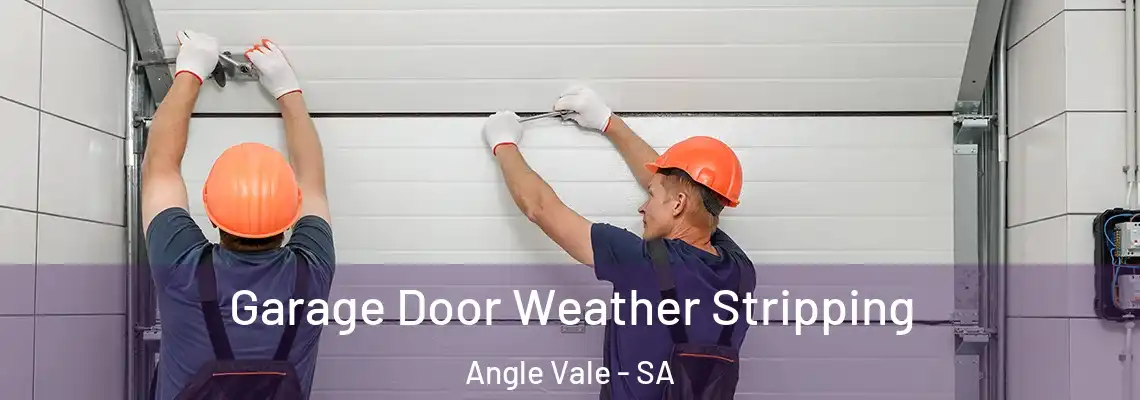 Garage Door Weather Stripping Angle Vale - SA