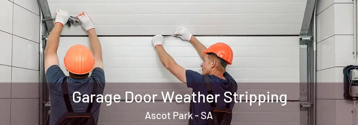  Garage Door Weather Stripping Ascot Park - SA