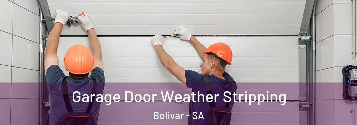 Garage Door Weather Stripping Bolivar - SA