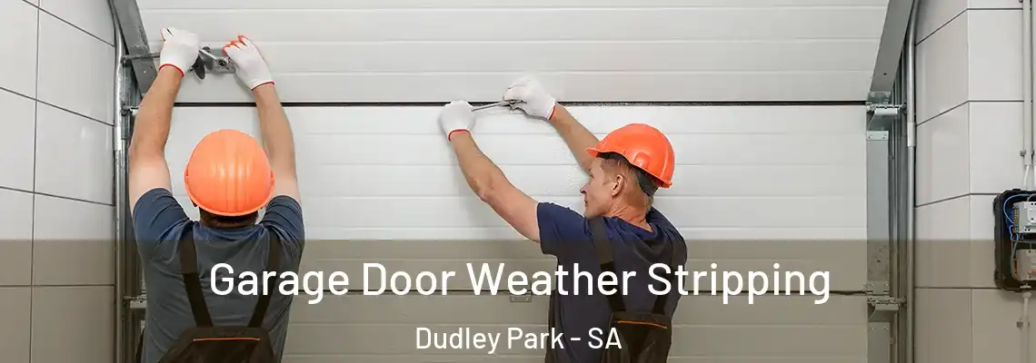 Garage Door Weather Stripping Dudley Park - SA