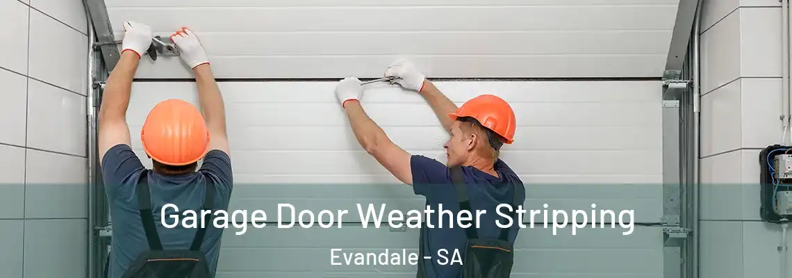 Garage Door Weather Stripping Evandale - SA