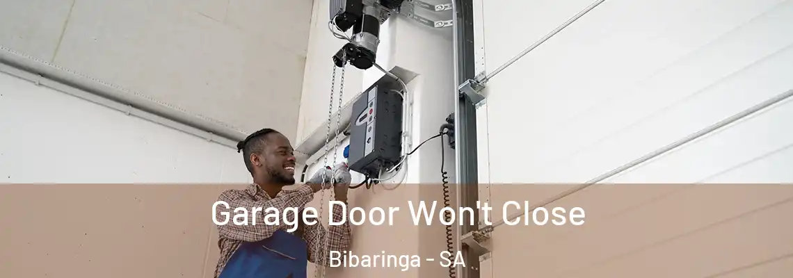 Garage Door Won't Close Bibaringa - SA
