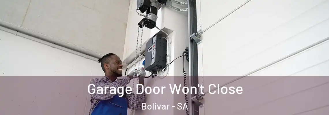  Garage Door Won't Close Bolivar - SA