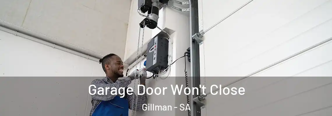  Garage Door Won't Close Gillman - SA