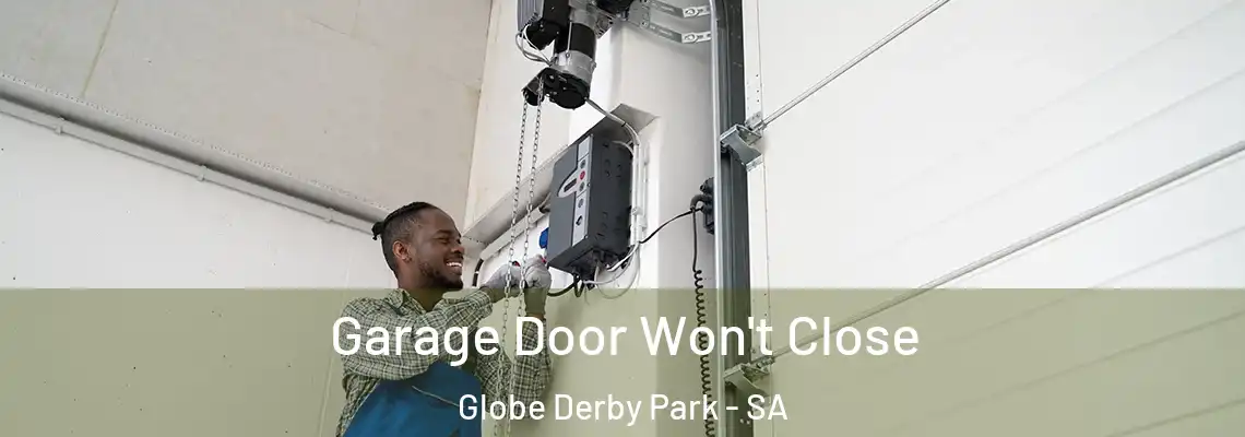 Garage Door Won't Close Globe Derby Park - SA