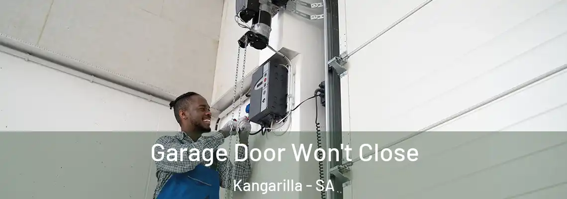 Garage Door Won't Close Kangarilla - SA
