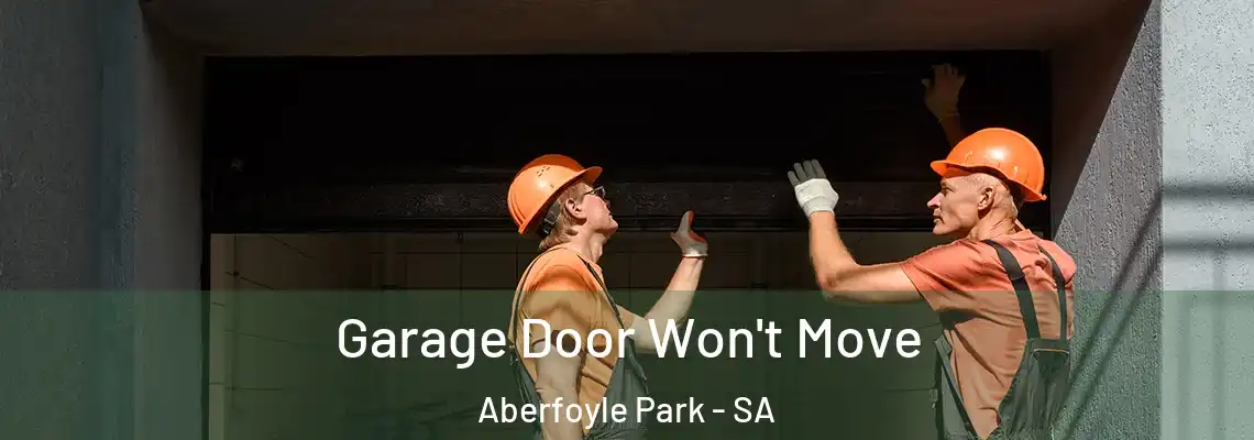 Garage Door Won't Move Aberfoyle Park - SA