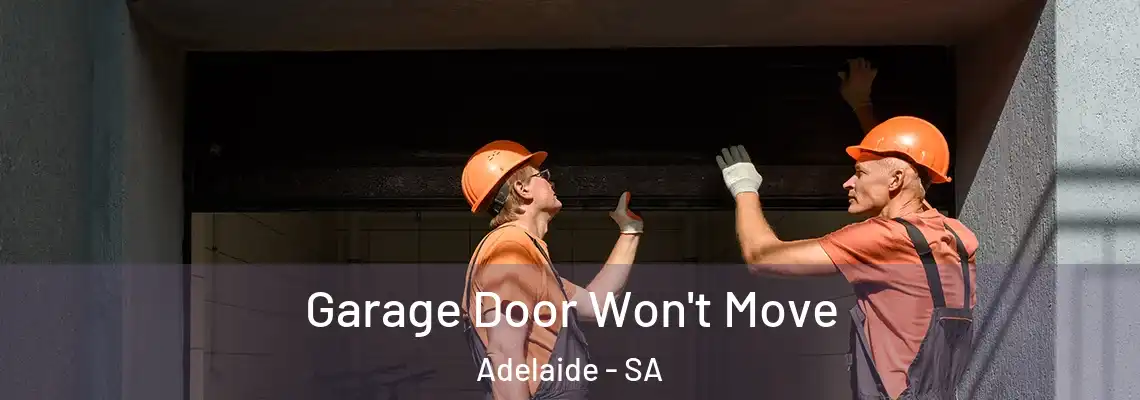  Garage Door Won't Move Adelaide - SA