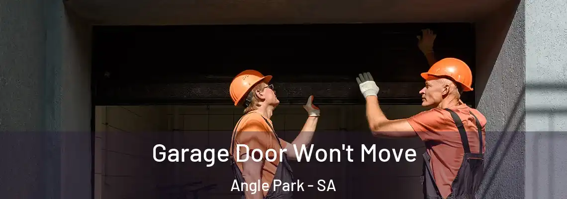  Garage Door Won't Move Angle Park - SA