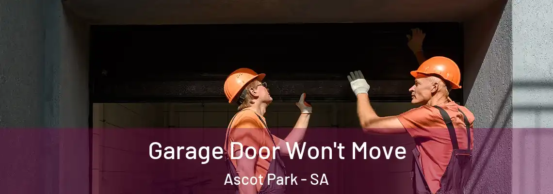  Garage Door Won't Move Ascot Park - SA