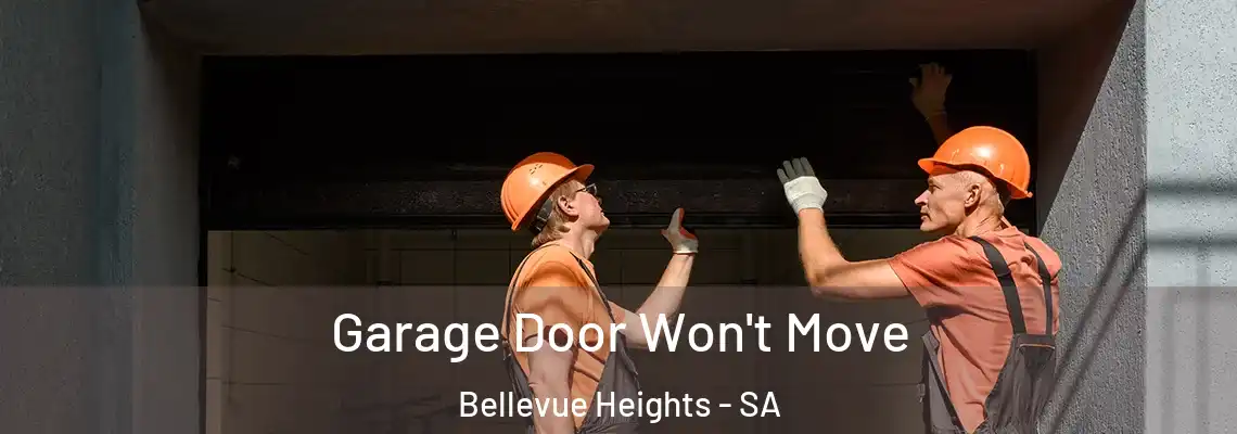  Garage Door Won't Move Bellevue Heights - SA