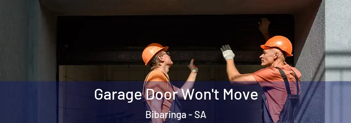 Garage Door Won't Move Bibaringa - SA