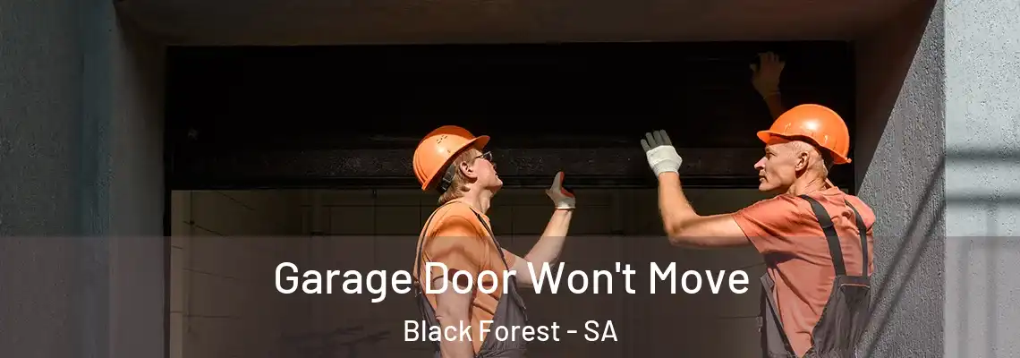 Garage Door Won't Move Black Forest - SA