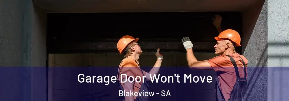 Garage Door Won't Move Blakeview - SA