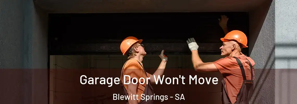 Garage Door Won't Move Blewitt Springs - SA