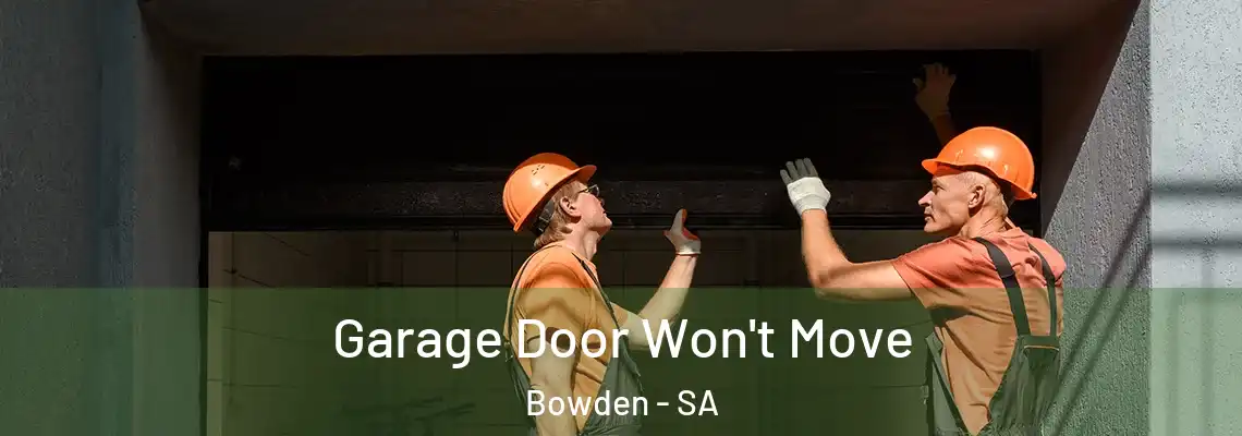 Garage Door Won't Move Bowden - SA