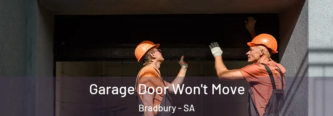 Garage Door Won't Move Bradbury - SA