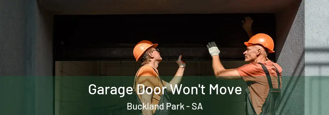  Garage Door Won't Move Buckland Park - SA