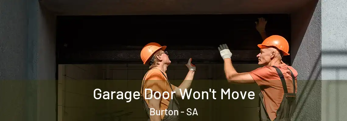 Garage Door Won't Move Burton - SA